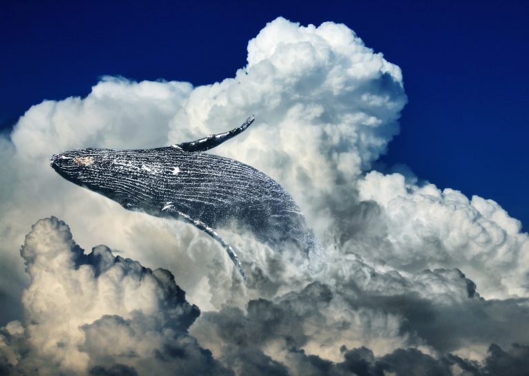 A whale jumping through clouds
